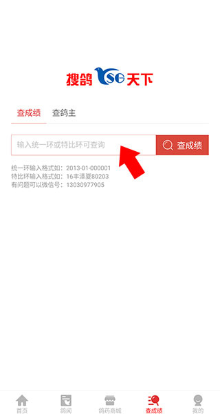 搜鸽天下