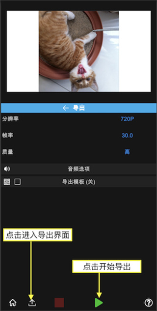 NodeVideo官方