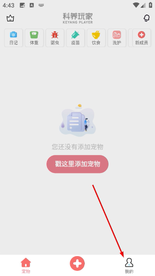宠物王国