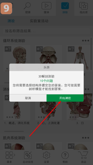 atlas人体解剖学图谱