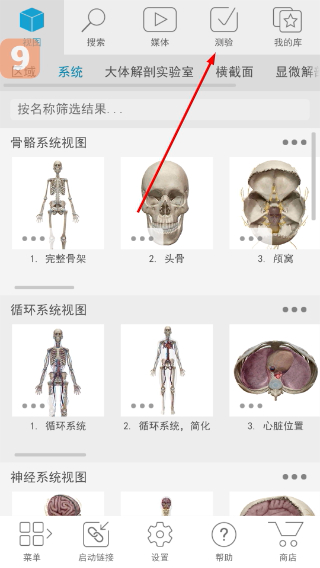 atlas人体解剖学图谱