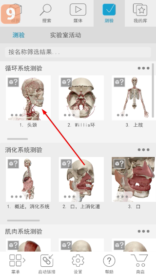 atlas人体解剖学图谱