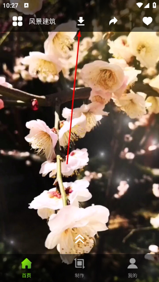 Live动态壁纸