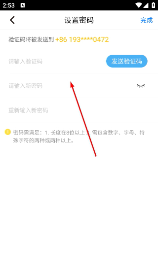 觅食蜂