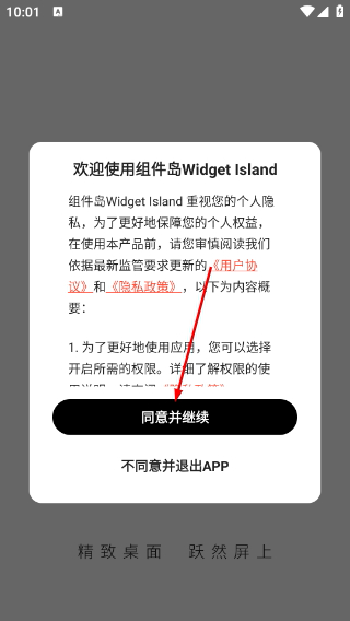 组件岛widgetIsland
