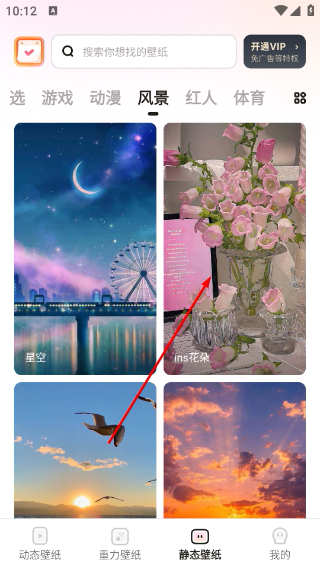 皮皮动态壁纸
