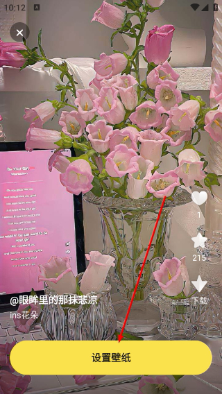 皮皮动态壁纸