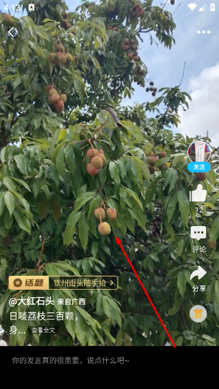 白话猫钦州360