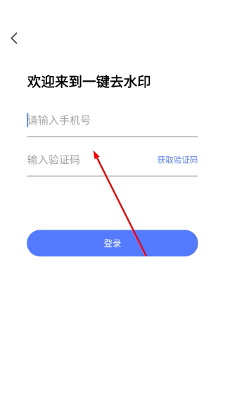 一键去水印