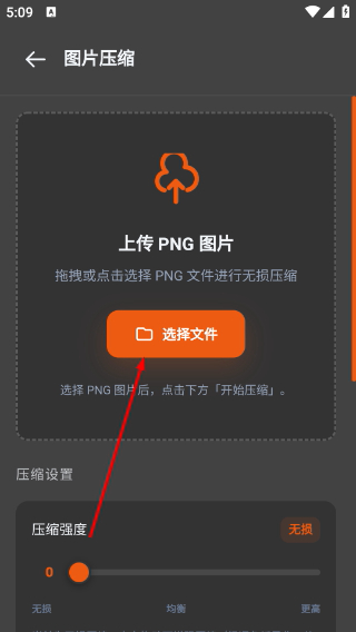 画中人