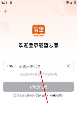 载望志愿