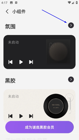 谜底黑胶