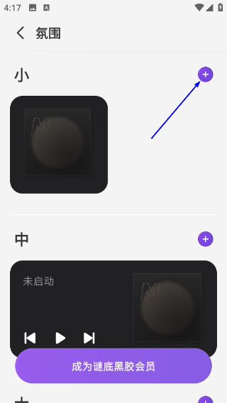 谜底黑胶
