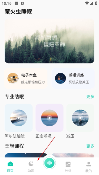 萤火虫睡眠