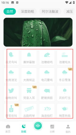 萤火虫睡眠