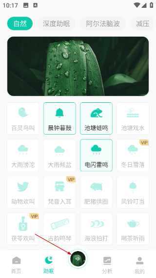 萤火虫睡眠