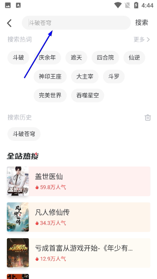 饭团追书