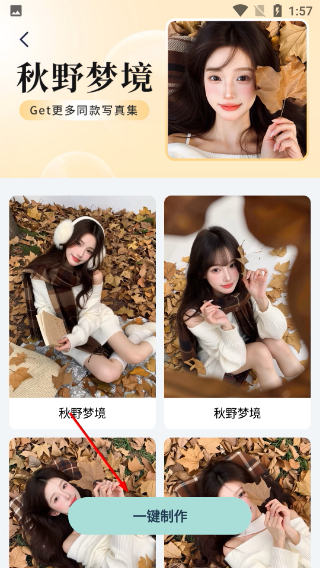 脸猫
