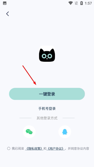 脸猫