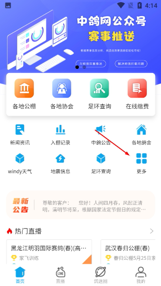 中鸽网