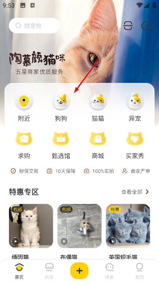 买只宠物
