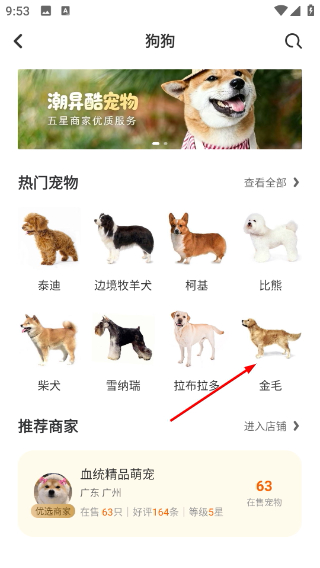 买只宠物