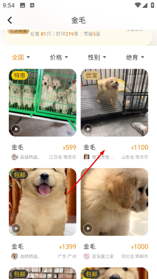买只宠物