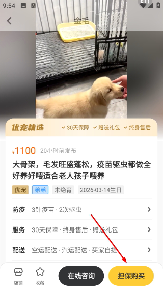 买只宠物
