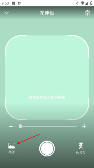 花伴侣
