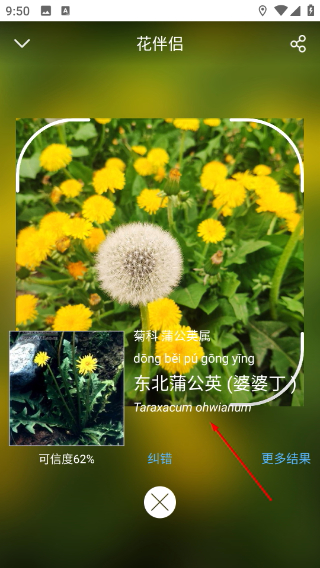 花伴侣