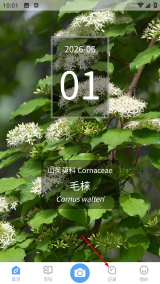 花伴侣专业版