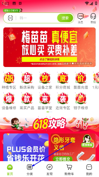梅苗苗