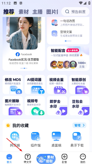 龙猫水印大师