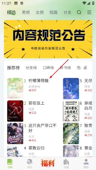 书枝阅读