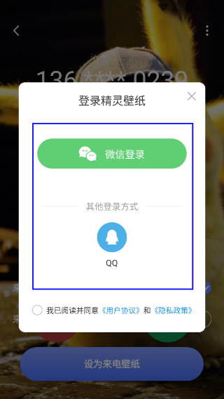 精灵壁纸
