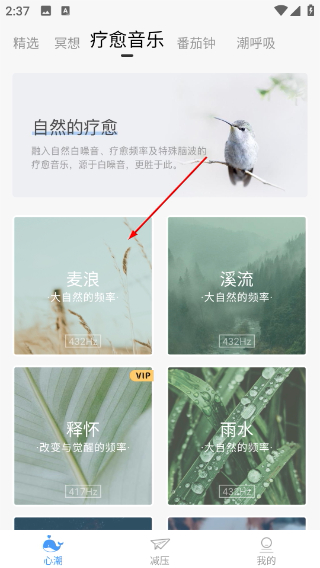 心潮