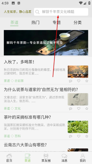 亦如茶