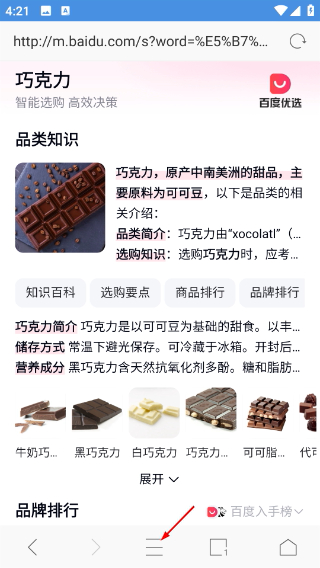 极搜浏览器最新版
