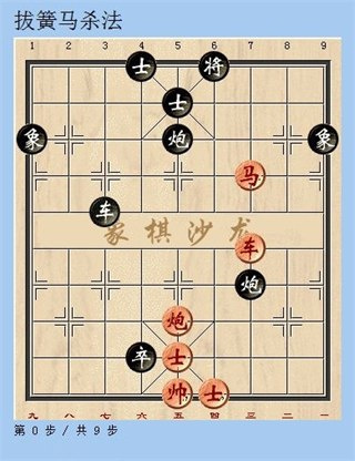 天天象棋(免费)