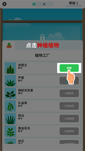植物日记