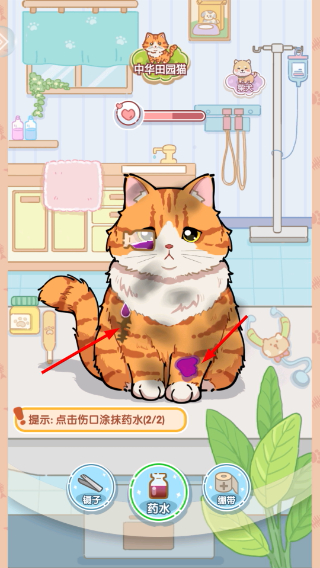 糖果猫