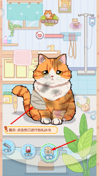 糖果猫