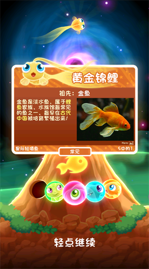 超级星鱼