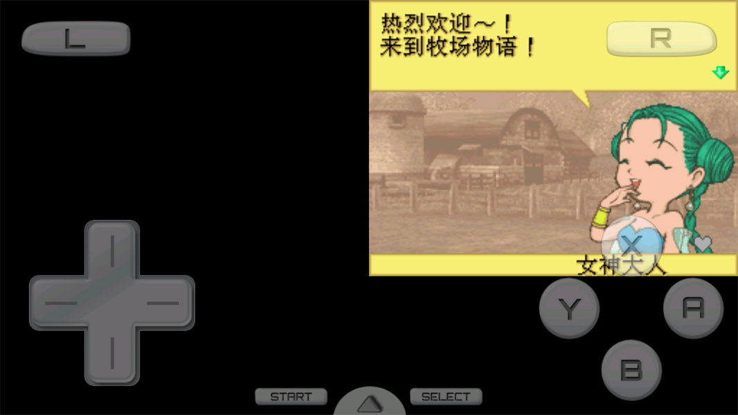 植物大战僵尸ds版