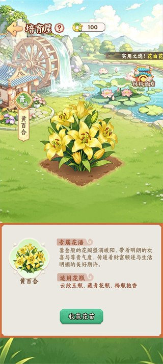解忧花店下载安装