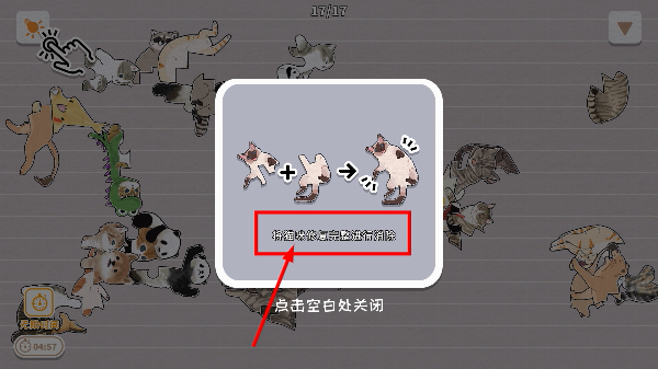 挤在一起的猫猫