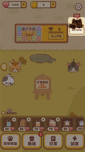 我的萌猫