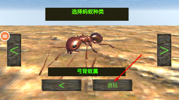蚂蚁的生活
