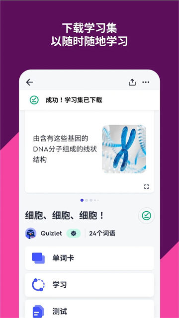 Quizlet安卓版
