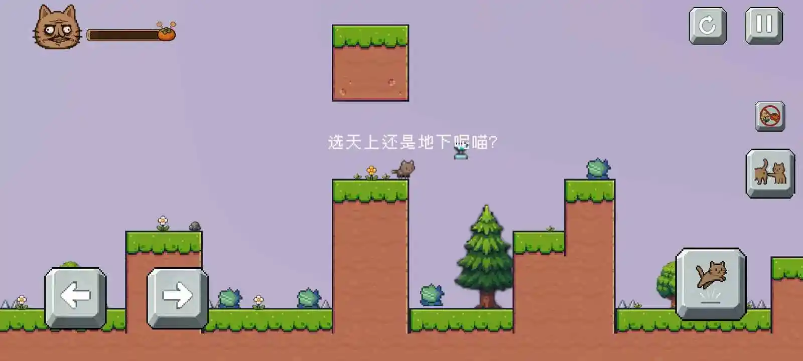 药柿了喵
